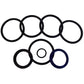 Cylinder Seal Kit Fits Gehl HL4300 HL4400 HL4500 HL4600 HL4700 Models 061162