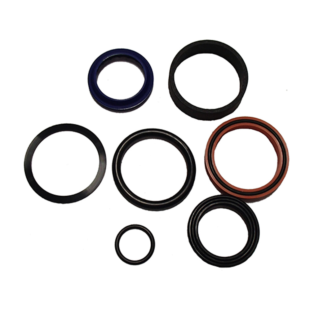Cylinder Seal Kit Fits GEHL Replaces 1-073705