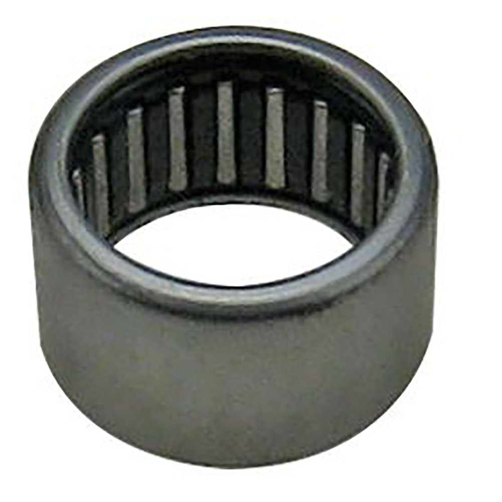 Hydraulic Pump Needle Bearing Fits Massey Ferguson Replaces 1000251M1