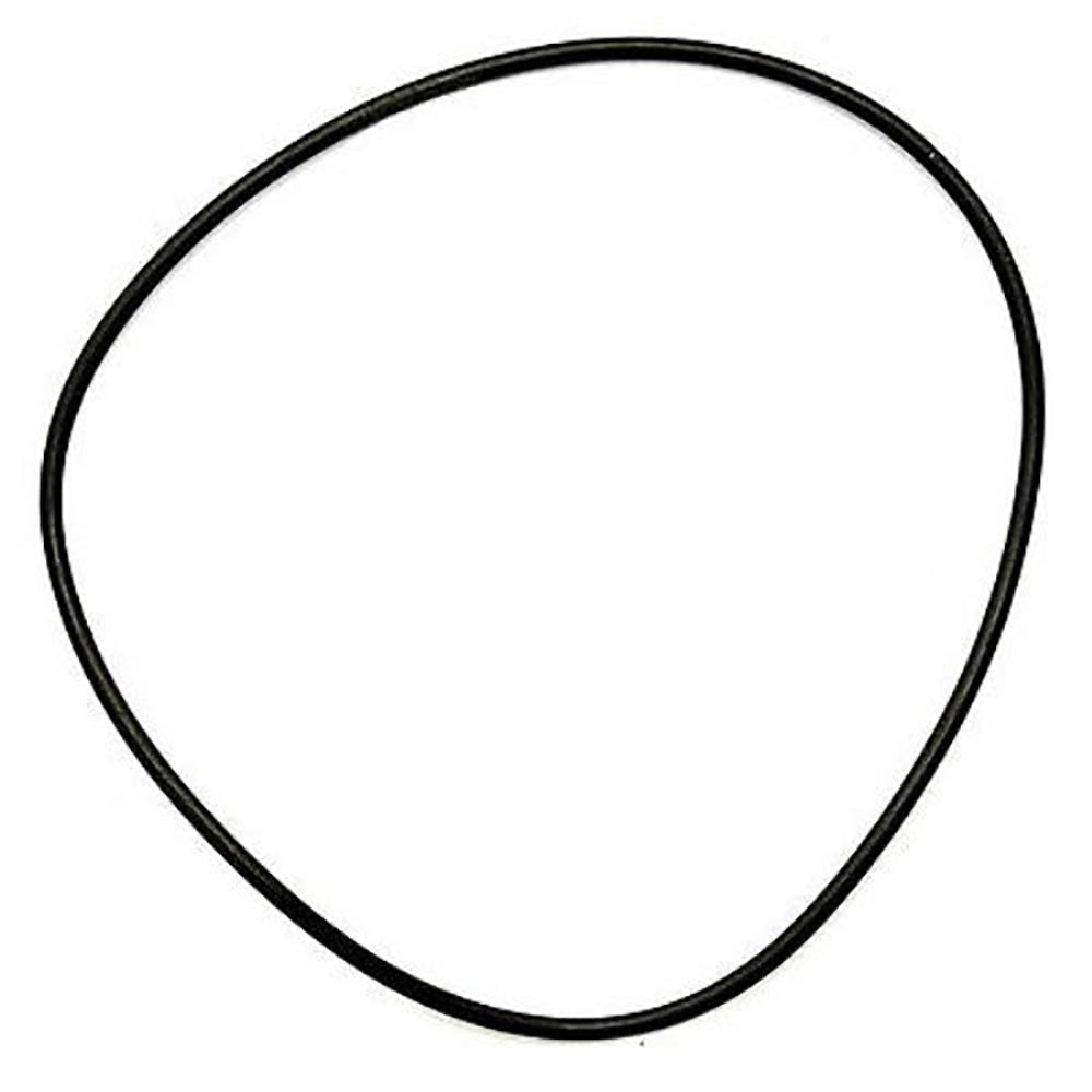 0013923U1 O-Ring - Cannister Fits Massey Ferguson 135 135 Gas / 135 Petrol 148