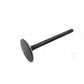 1566985 Valve-Inlet Fits Caterpillar Models
