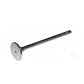 1570671 Valve-Exhs Fits Caterpillar Models
