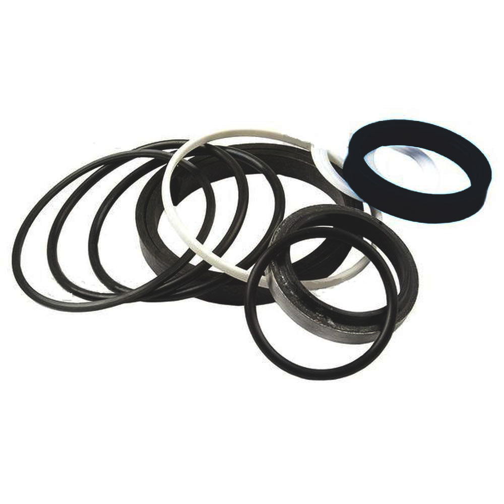 Cylinder Seal Kit Fits Massey Ferguson 50B 50D 50E 50F 50H MF4500 1606532M94