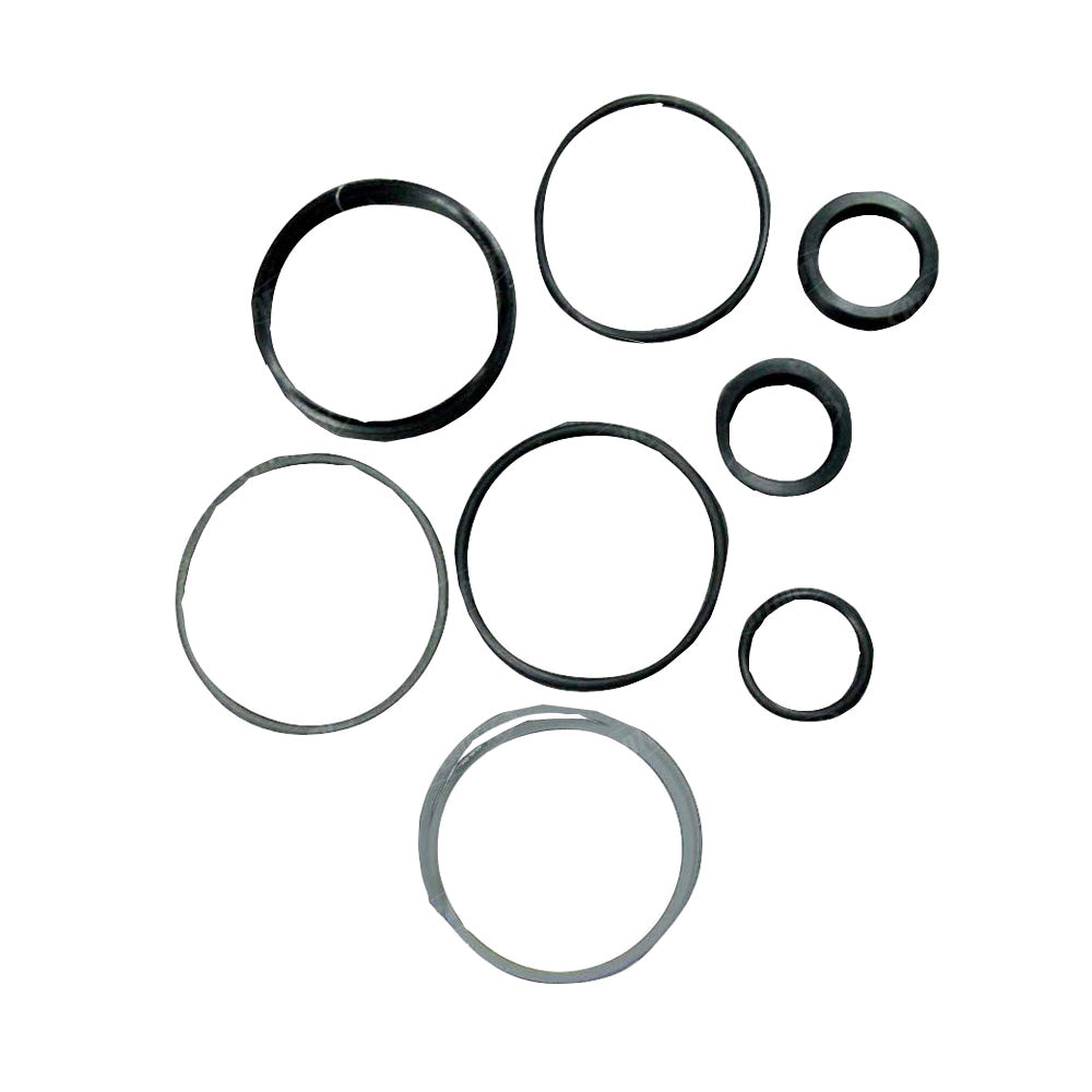 1606890M91 Repair Kit - Power Steering Cylinder Fits Massey Ferguson