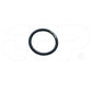 1698598 Seal O Ring Fits Caterpillar Models