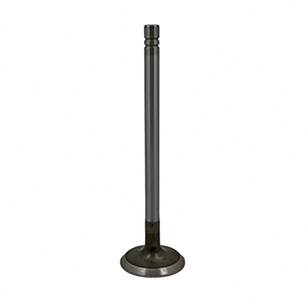 Exhaust Valve Fits Massey Ferguson Replaces 1027653M1