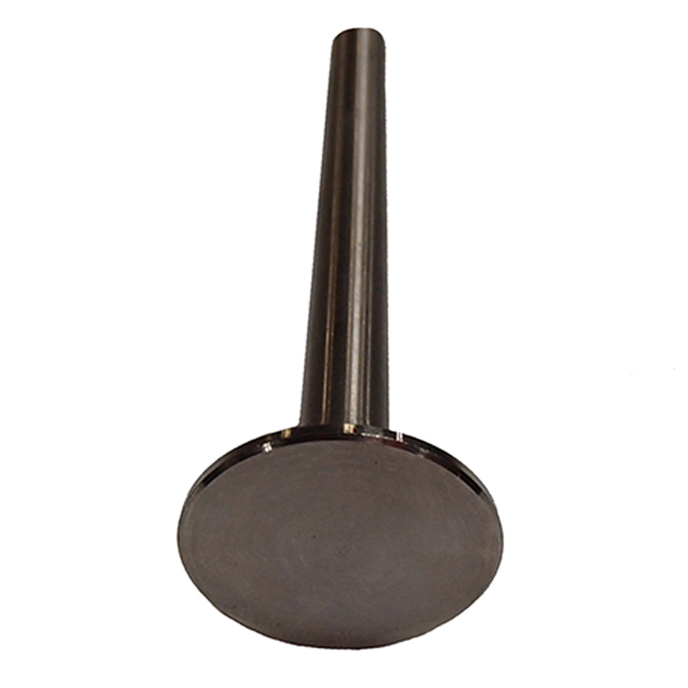 Fits Massey Ferguson Intake Valves for Z120 1751518m1