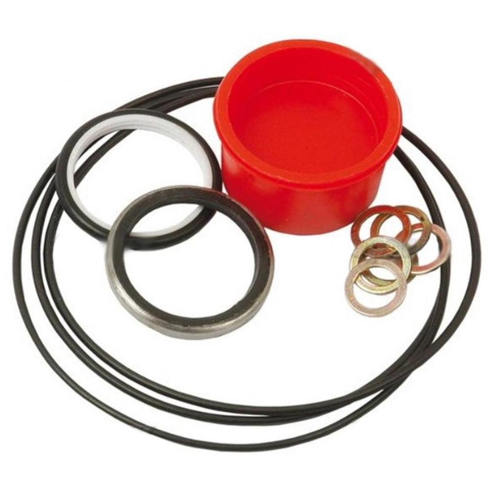 S.41499 Orbital Seal Kit () Fits Massey Ferguson