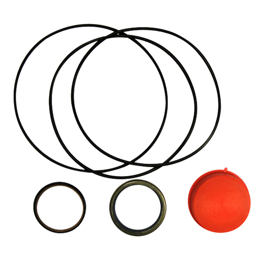 S.41499 Orbital Seal Kit () Fits Case IH