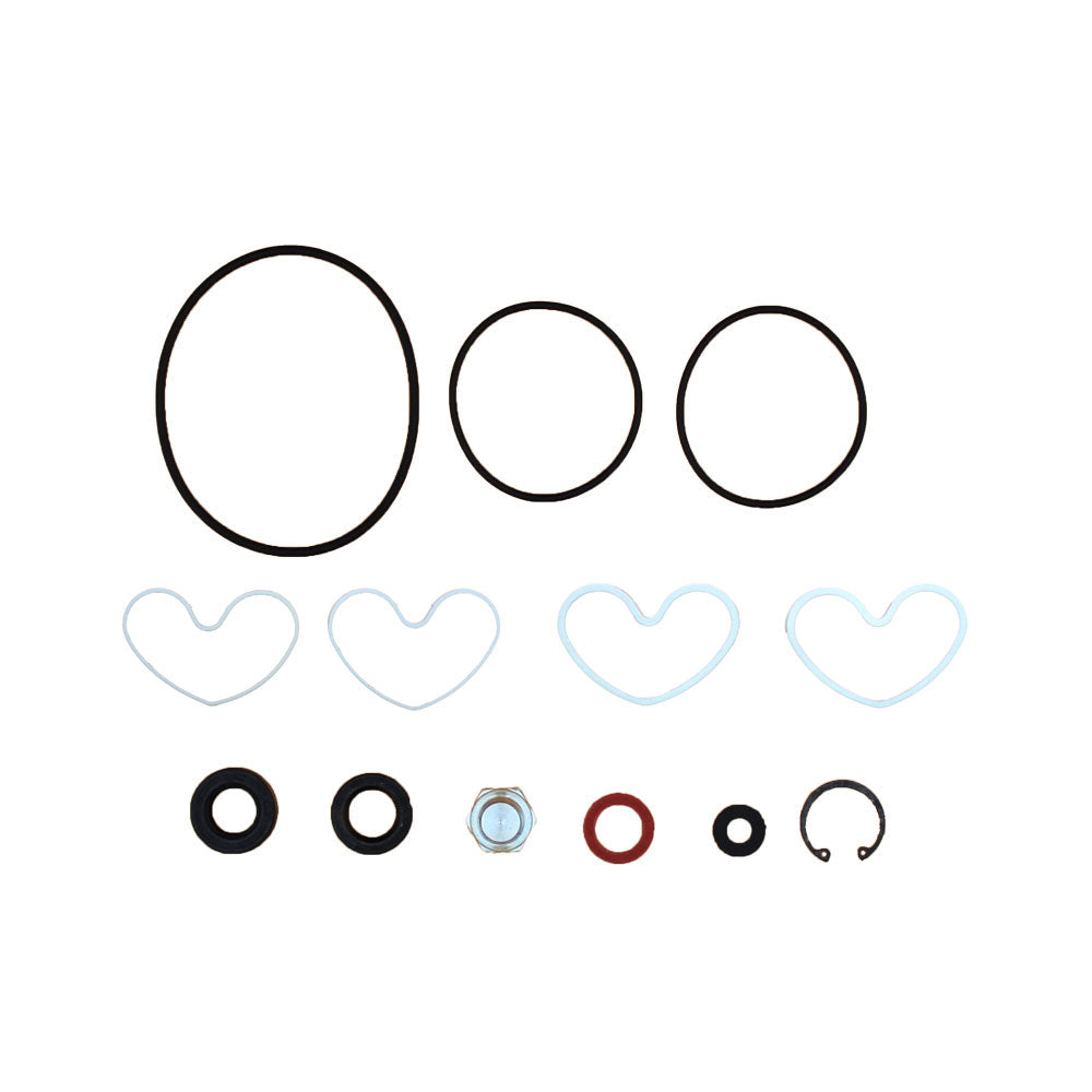Power Steering Pump Seal Kit Fits Landini Replaces 1810839M91