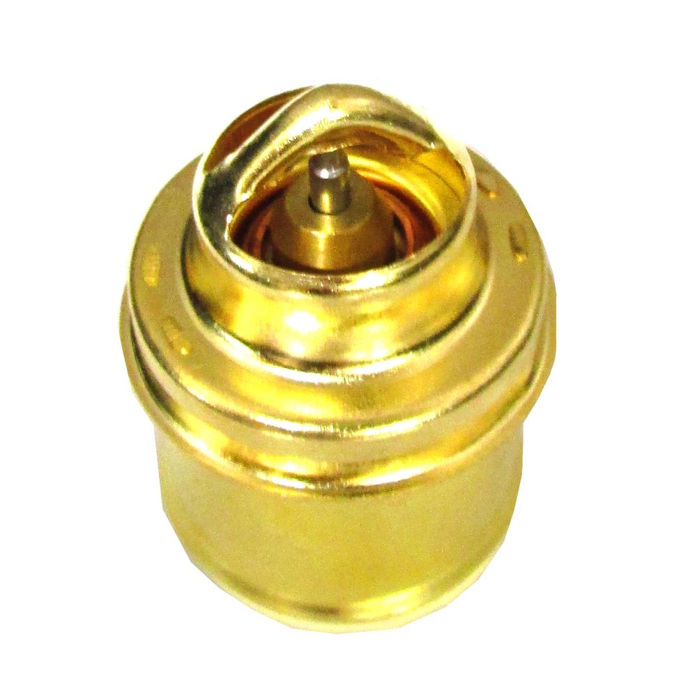 160 Degree Thermostat Fits Universal Products Replaces 181634M91