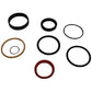 GG190-3238 Hydraulic Lift Cylinder Seal Kit fits Owatonna Skid Steer 342 345 242