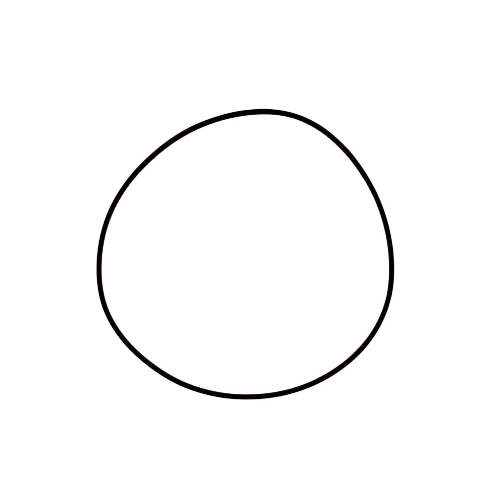 O-Ring Fits Case Replaces 190493A1