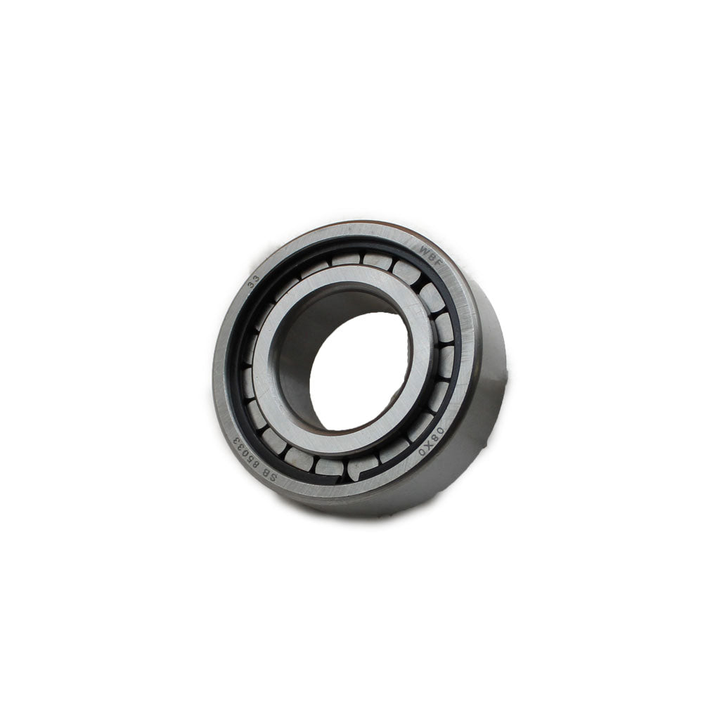 RAX-F-1634A242-A Bearing, Rear Differential Pinion 191250M1