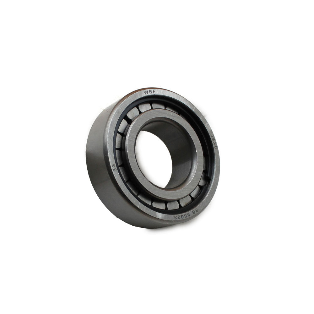 Differential Pinion Bearing Fits Massey Ferguson Replaces 191250M1