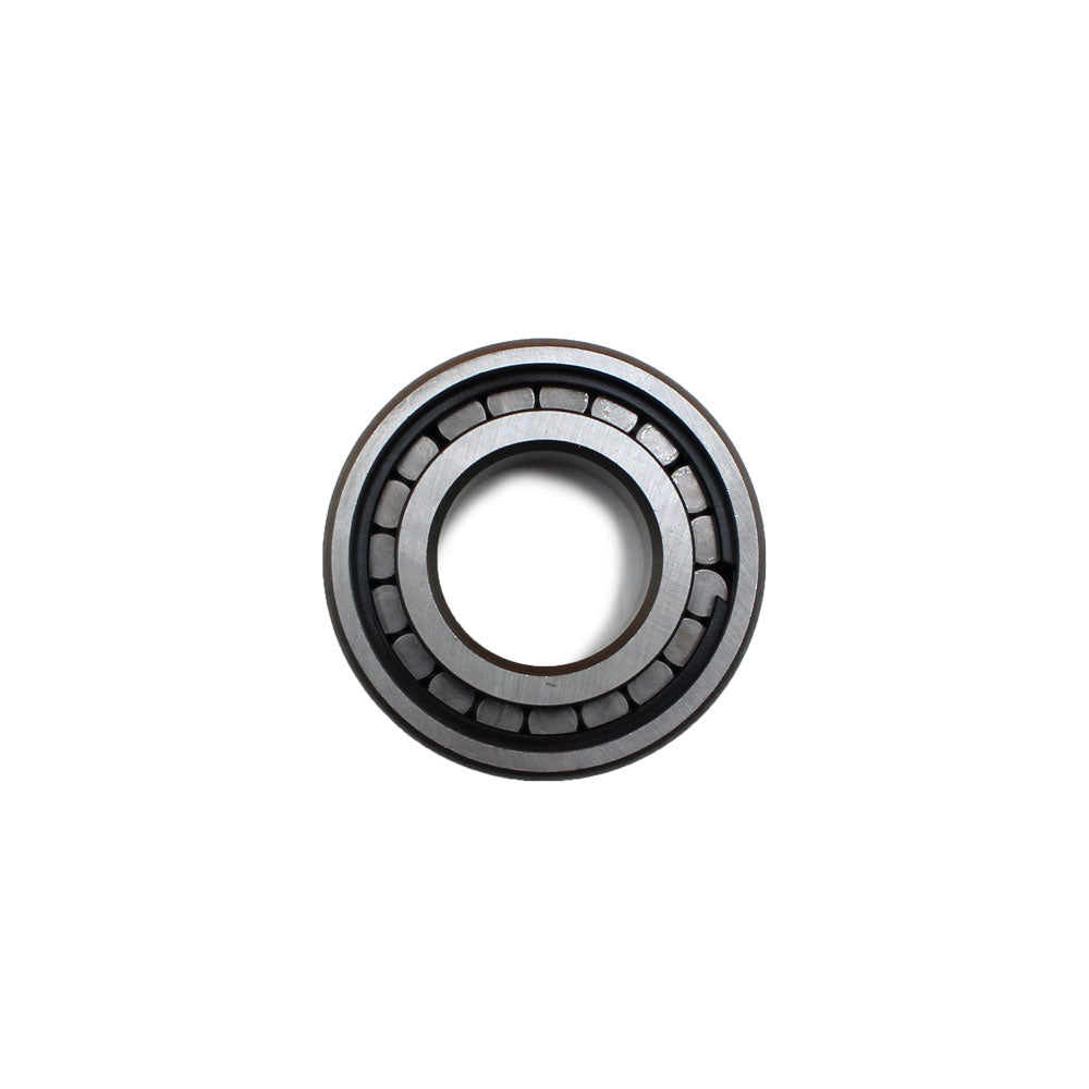 Differential Pinion Bearing Fits Massey Ferguson Replaces 191250M1