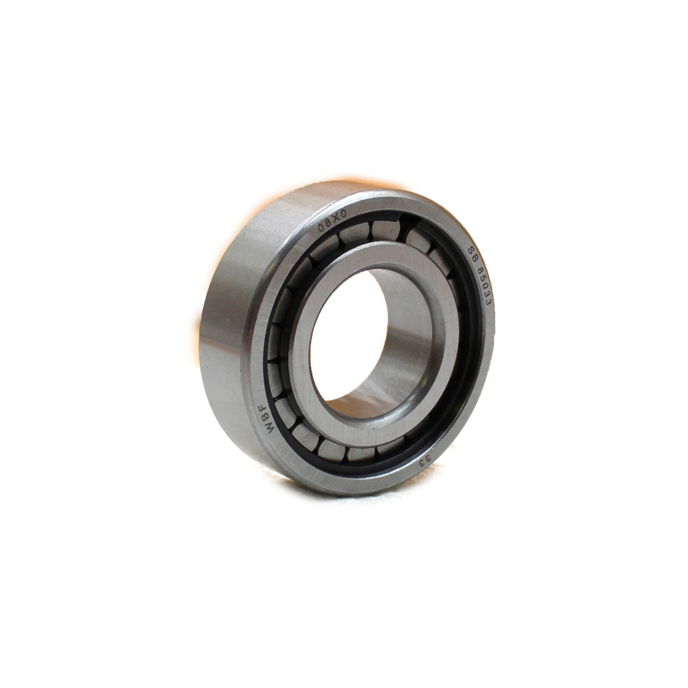 RAX-F-1634A242-A Bearing, Rear Differential Pinion 191250M1
