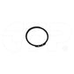 1N8620 Ring Fits Caterpillar Models