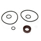 1U3506 Kit-Rear Seal Fits Caterpillar Models