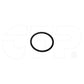 2059127 Gasket Fits Caterpillar Models