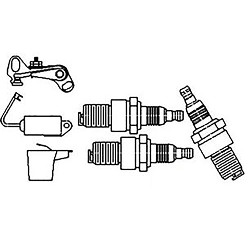Tune Up Kit (Fits Champion) Fits 2000 3000 4000 21A888