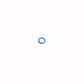 2385079 Seal O Ring Fits Caterpillar Models
