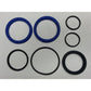 Lift Or Tilt Hydraulic Cylinder Seal Kit For Dual 3100 Loader 25031