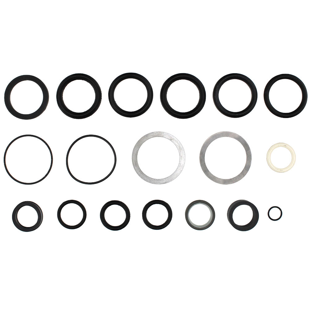 Cylinder Seal Kit Fits Ford Replaces 309959