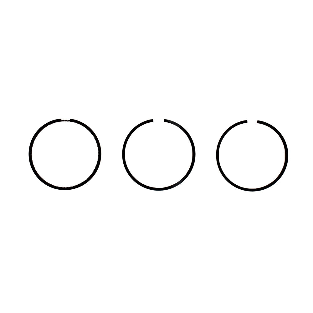 Ring Set Fits Ford/New Holland Replaces 3218669R91