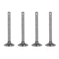 1750070M1 New Set of 4 Intake Valves Fits Massey Ferguson TO30 F40 TO35 135 +