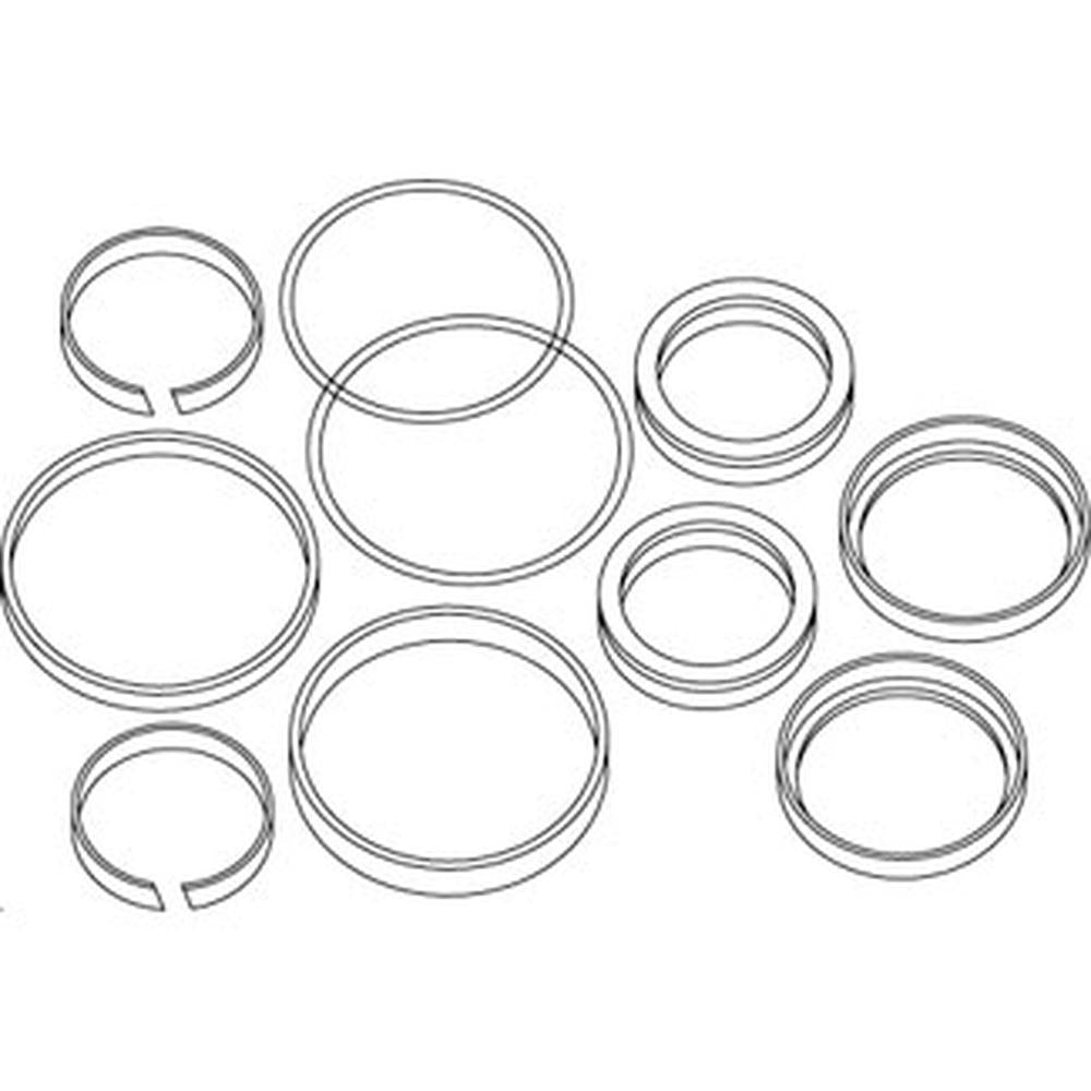 3443433M93 Steering Cylinder Seal Kit Fits Massey Ferguson Tractors 365+
