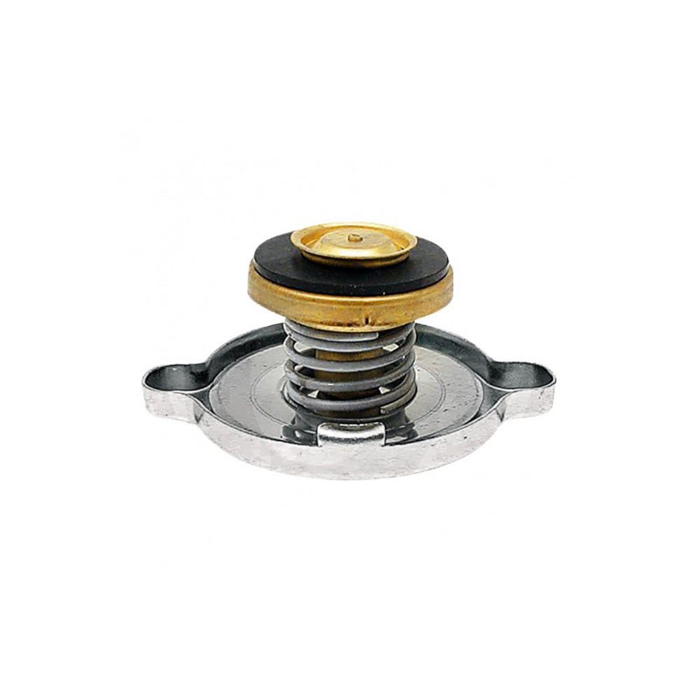 S.8454 Cap, Radiator, 885344M1 Fits Landini
