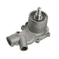 Water Pump 3641263M91 Fits Massey Ferguson 3050 3060 3065 3070