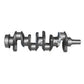3641031M91 Crankshaft Fits Massey Ferguson 4.236 / 4.248 Lip Seal Type