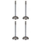 366303R4 Pack of 4 Exhaust Valves Fits Case-IH Harvester Tractor Models