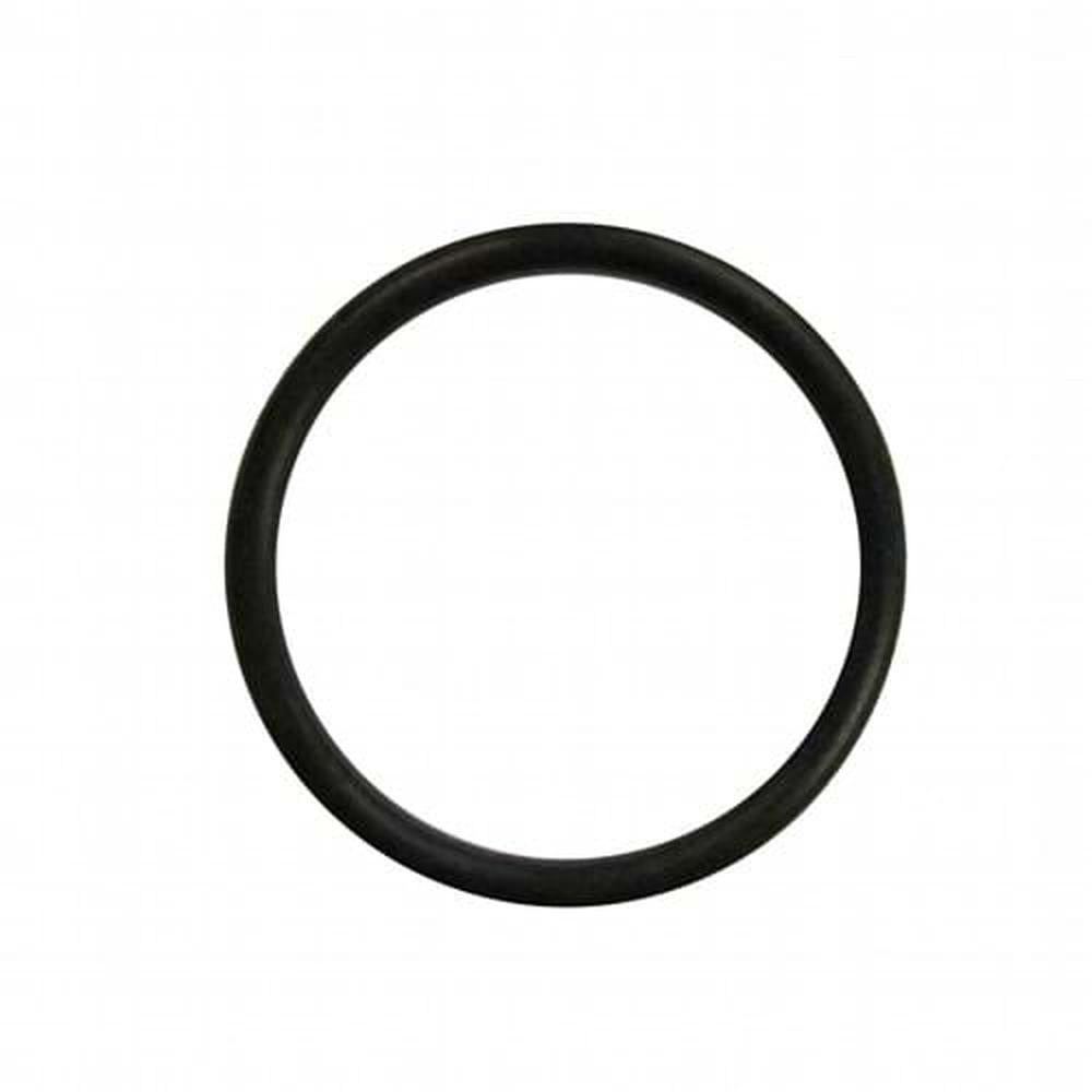 369908 Hitch Pump O-Ring Fits International