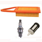 Engine Maintenance Kit Fits Stihl BR600 BR550 BR500 Backpack Blower