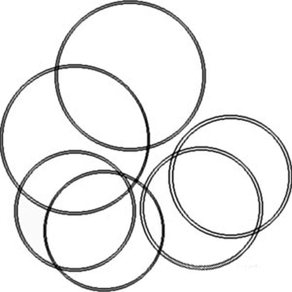 Brake O-Ring Kit Fits Case-IH 695 895 595 454 484 574 784 584 674