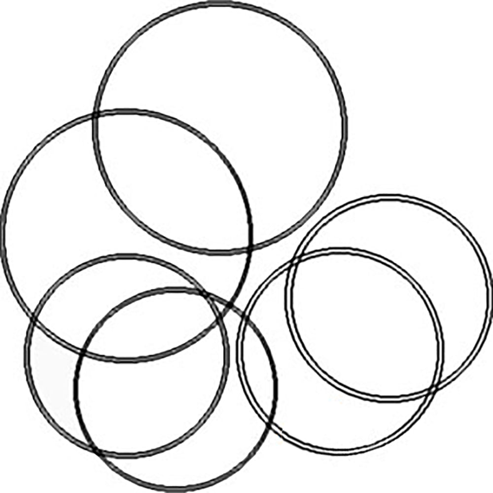 O-RING KIT (UNOPENED) Fits International / Fits Case IH TRACTORS 539535R91