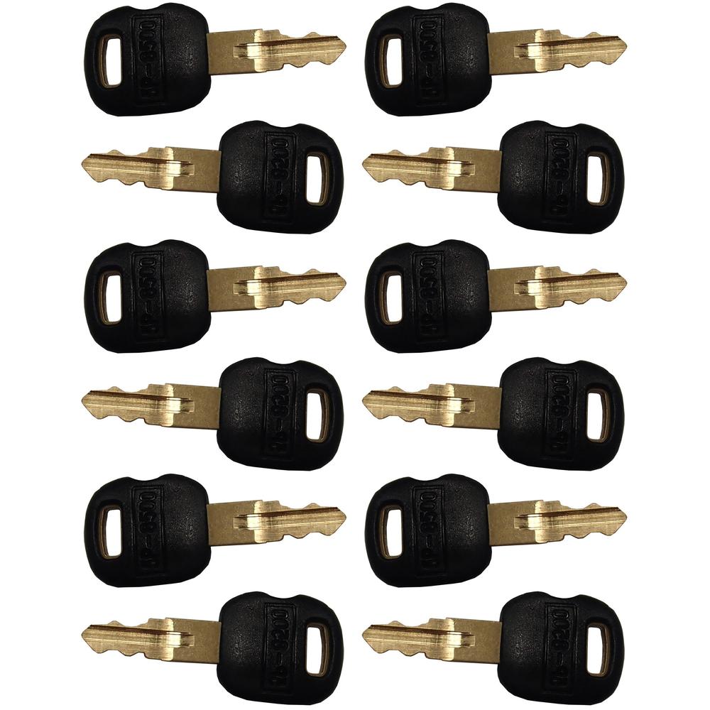 Qty. 12: Key(s) - Old Style Fits ASV Replaces 0310-072