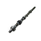 Camshaft Fits 1026 1206 1256 1456 21026 21206 21256 21456 2806 2856 806 856 D361