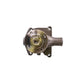 Water Pump 531969010651 for Zetor 4911