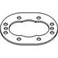 Hydraulic Pump Gear Plate Fits 190 190XT 190XTIII 200 210 220 70250351