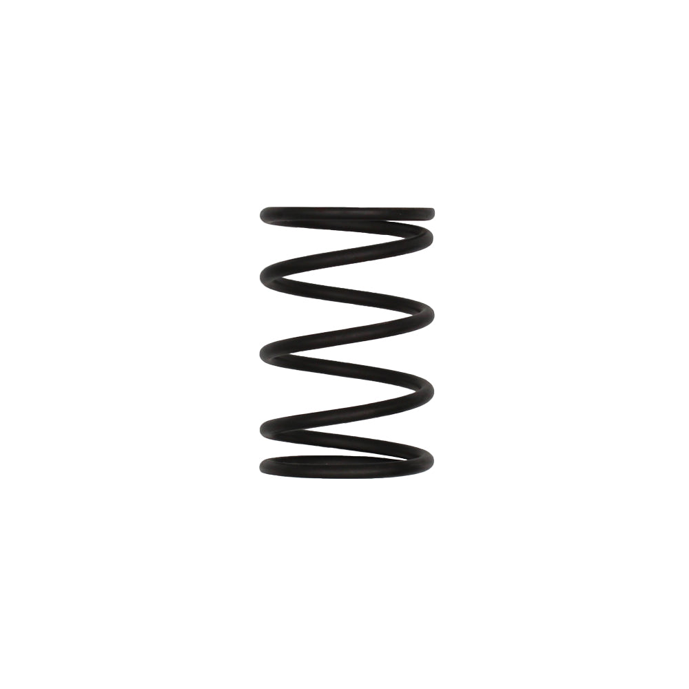 CS531 New Primary Drive Clutch Spring fits Polaris Trail Blazers 250 ES 1996 250