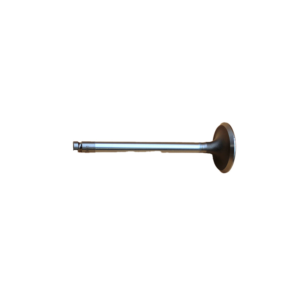 Intake Valve Fits Massey Ferguson Replaces 731151M1