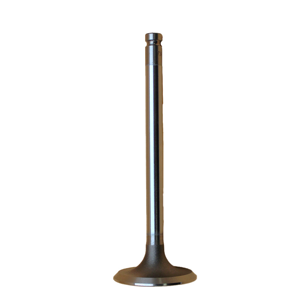 Intake Valve Fits White Replaces 731151M1