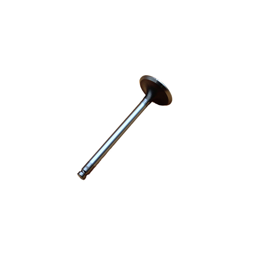Intake Valve Fits White Replaces 731151M1