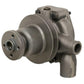 Water Pump w/ Pulley Fits Massey Ferguson Replaces 2130111