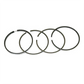 Piston Ring Set (T6.354) Fits JCB Replaces 02100221