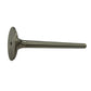 747581M1 New Tractor Exhaust Valve Fits MF 133 135 140 145 148 150 152 +